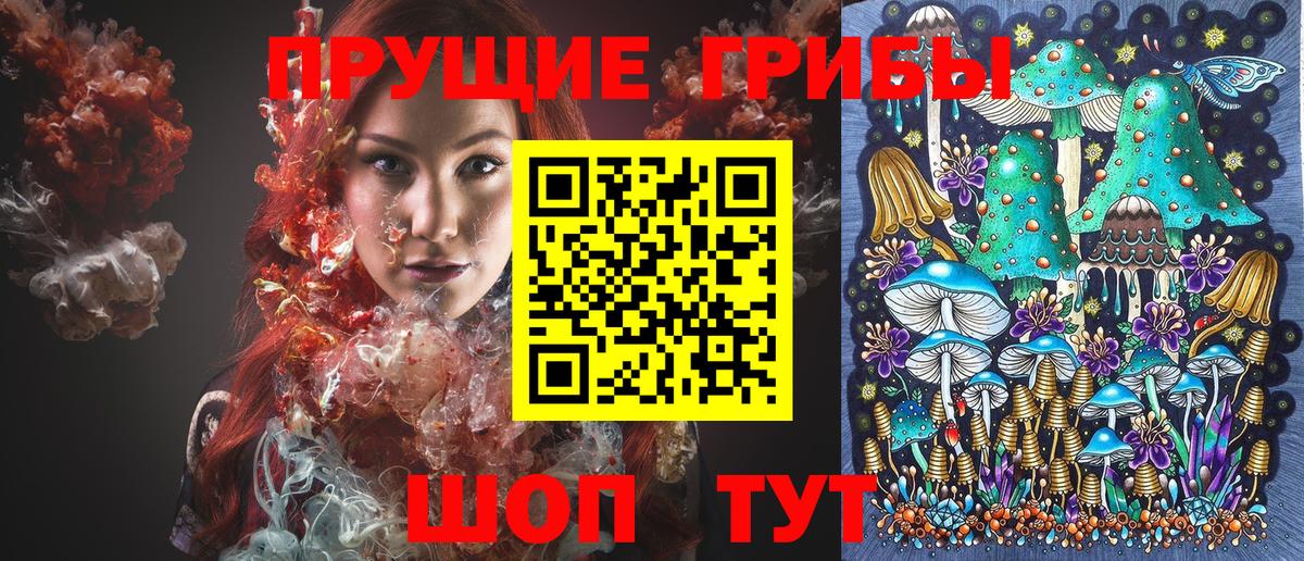 Волжский  Галлюциногенные грибы GOLDEN TEACHER  Вход с VPN 
